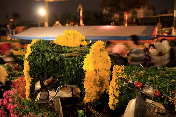 Quang Ba night flower market - ảnh 3